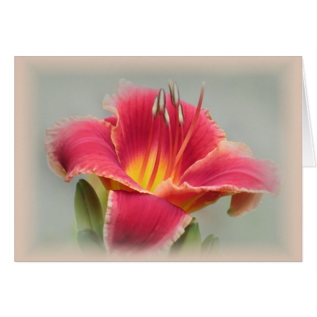 Cartão Lily State of Mind - Daylily (Frente Horizontal)