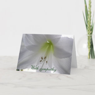 Cartão Lily With sympathy