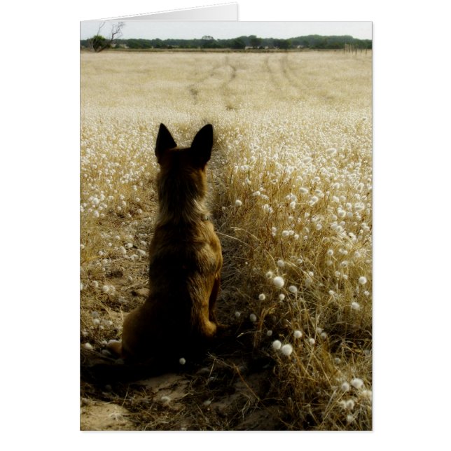 Cartão Limitado Homeward (Frente)