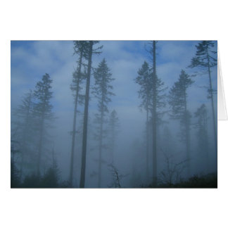 Cartão Limpeza de Névoa