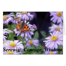 Linda Borboleta Na Serenidade Das Flores