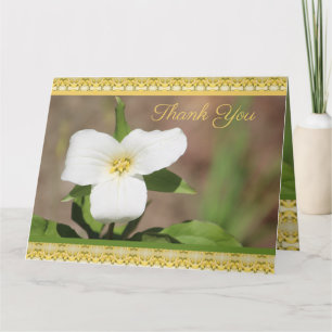 Cartão Linda Flor Branca