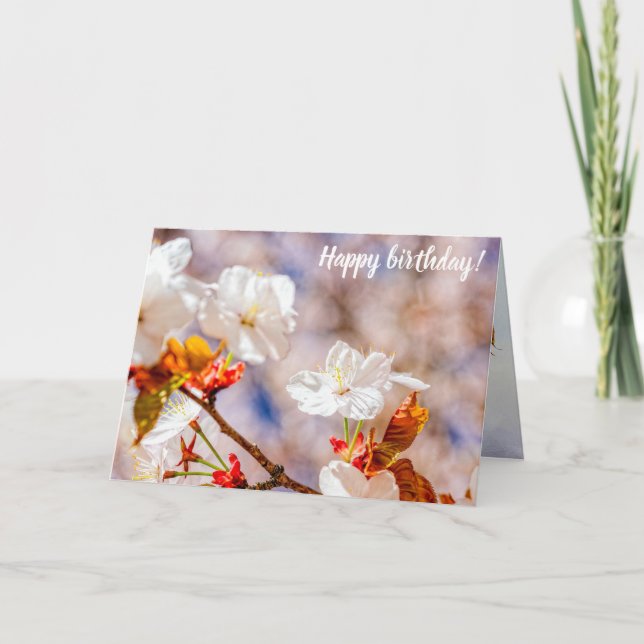 Cartão Linda Flor Sakura Em Um Dia Sunny De Primavera (Frente)