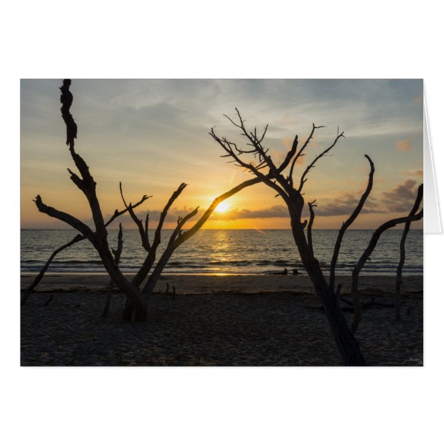 Cartão Linda Folly Morning (Frente horizontal)