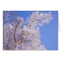 Linda Foto da Cena de Neve