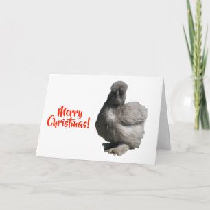 Cartão Linda Galinha Silkie Azul Fofa Feliz Natal