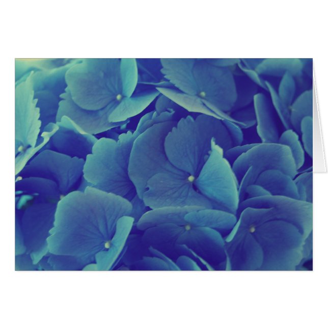 Cartão Linda Hydrangea Azul (Frente Horizontal)