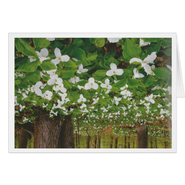 Cartão Linda paisagem canadense Niagara: BAIXO Presente (Frente Horizontal)