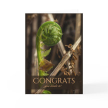 Linda samambaia vencendo o inverno CC0917 Parabéns