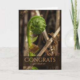 Cartão Linda samambaia vencendo o inverno CC0917 Parabéns