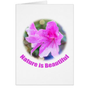 Cartão Lindas flores rosa-azáleas A natureza é bela