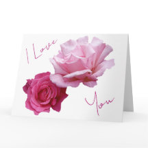Lindas rosas cor-de-rosa, amor de São Valentim, fl