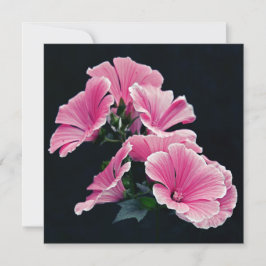 Cartão Lindo Jardim Rosa Malva Rosas Flores