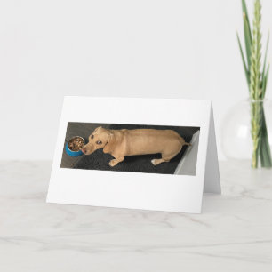 Cartão Lindo Vamos Almoçar Dachshund