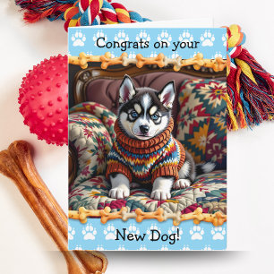 Cartão Lindos Parabéns pelo seu cachorro Husky 