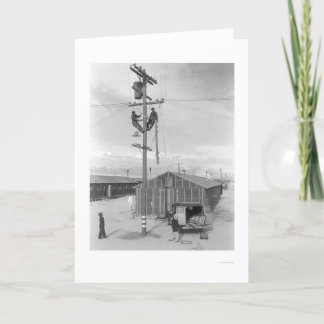 Cartão Line Crew at Work in Manzanar 1943