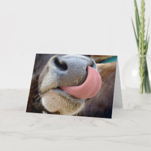 Cartão Língua de Vaca