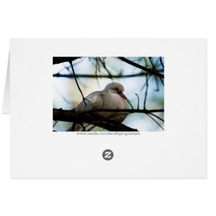 Cartão Linha mestre