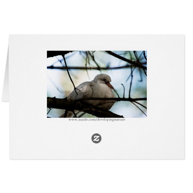 Cartão Linha mestre (Verso horizontal)