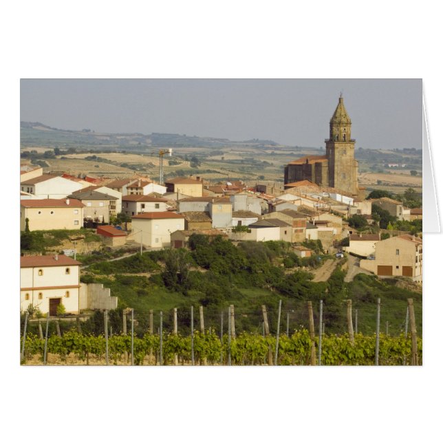 Cartão Linhas de videiras de uva no primeiro plano (Frente Horizontal)