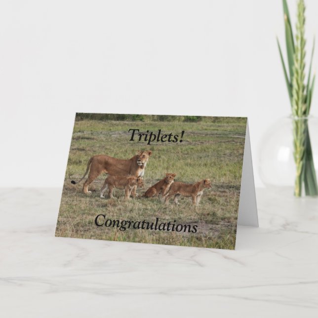Cartão Lion baby triplets birth congratulations card (Frente)