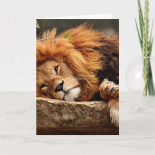 CARTÃO LION BIRTHDAY GREETING CARD