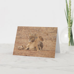 Cartão Lion Card