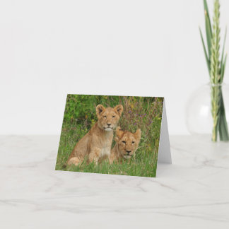 Cartão Lion Cubs Note Cards