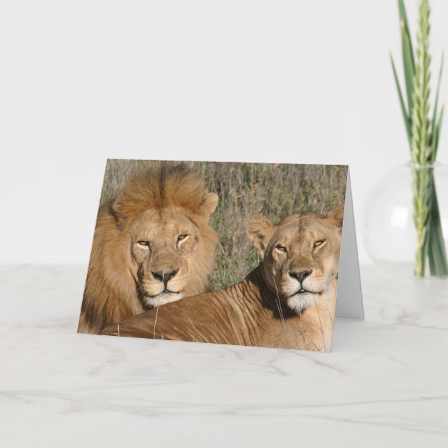 Cartão Lion Love - Card (Frente)