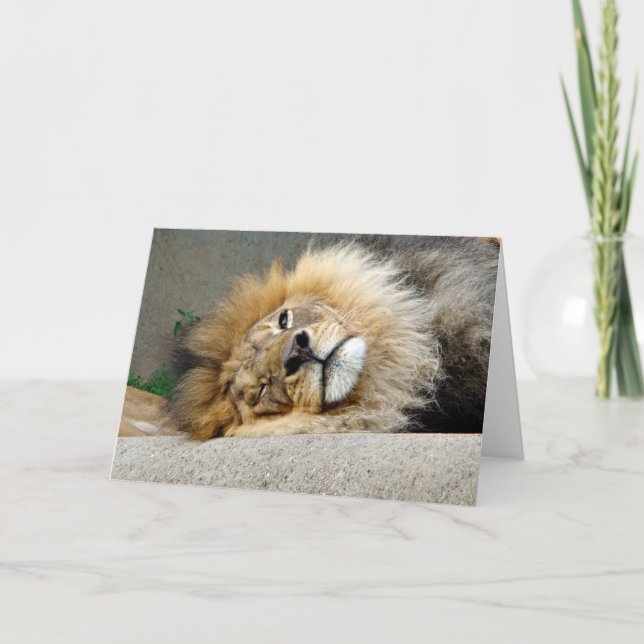 Cartão Lion Wink Greeting Card (Frente)