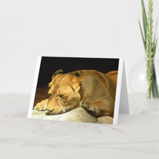 Cartão Lioness