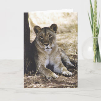 Cartão Lioness