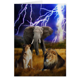 Cartão Lions Elephant África do Sul