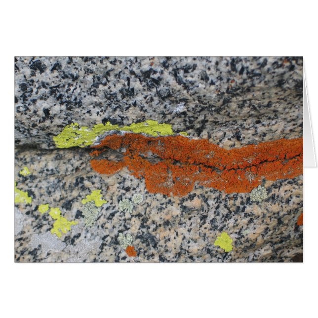 Cartão Líquenes, parque nacional de sequóia (Frente horizontal)