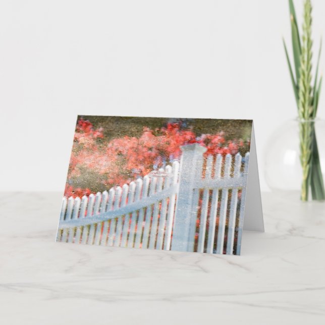 Cartão Liquid Life Fence Blank Card (Frente)