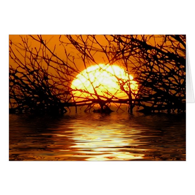 CARTÃO líquido do por do sol (Frente Horizontal)