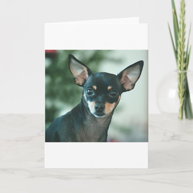 Cartão Lírio (Frente)