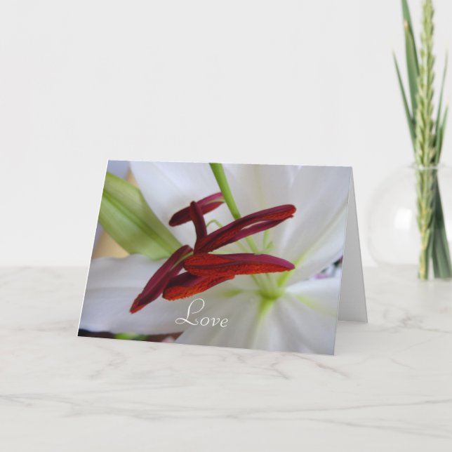 Cartão Lírio Branco, flor. (Frente)