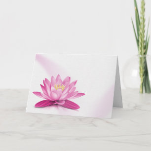 Cartão Lírio de Água Rosa de Simpátia sobre Branco
