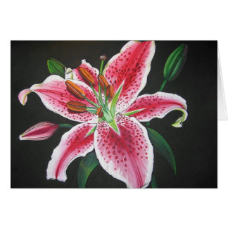 Cartão Lírio do Stargazer