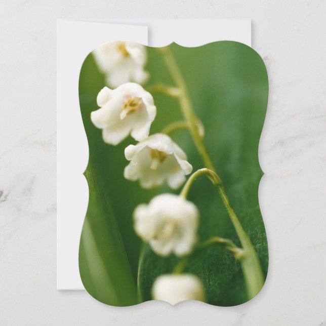 Cartão Lírio-do-vale branco (Convallaria majalis) (Frente)