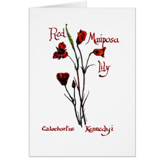 Cartão Lírio vermelho de Marisposa