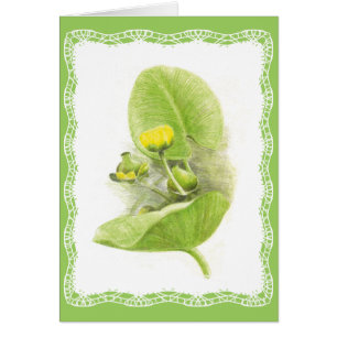 Cartão Lírios de flores