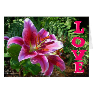 Cartão Lírios do Amor