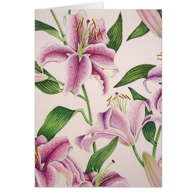 Cartão Lírios do Stargazer (Frente)