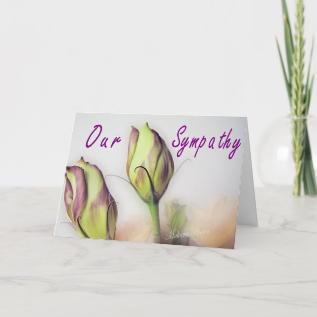 Cartão Lisianthus Sympathy card (Frente)