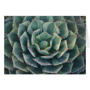 Cartão listrado da agave