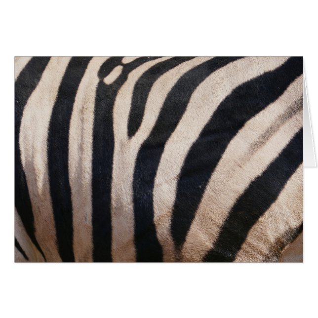 Cartão Listras de Zebra Preta e Branca (Frente Horizontal)