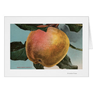 Cartão Litografia de Chromo da fruta do inverno branco