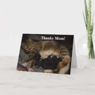 Cartão Litro de Gato de dia de as mães